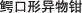 ǯ