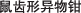 ǯ