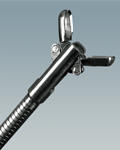 Բǯ Oval Fenestrated Cups Biopsy Forceps