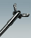 ڻǯ Alligator Jaws Type Biopsy Forceps